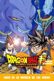 Dragon Ball Super: Capítulos