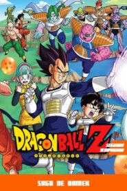 Dragon Ball Z: Saga de Freezer